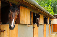 free Scaur Or Kippford stable construction quotes